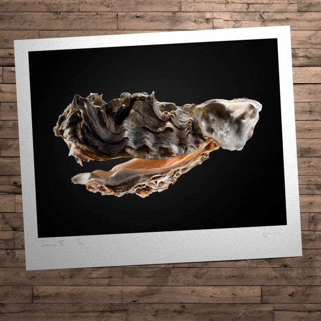 Contemporary photography fine artist David Janos